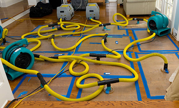 Professional Crawl Space Water Removal technician working in Bayside, WI